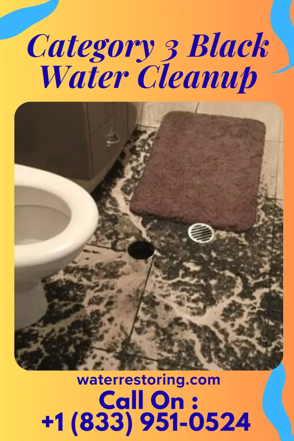 Category 3 Black Water Cleanup in Buena Vista, GA