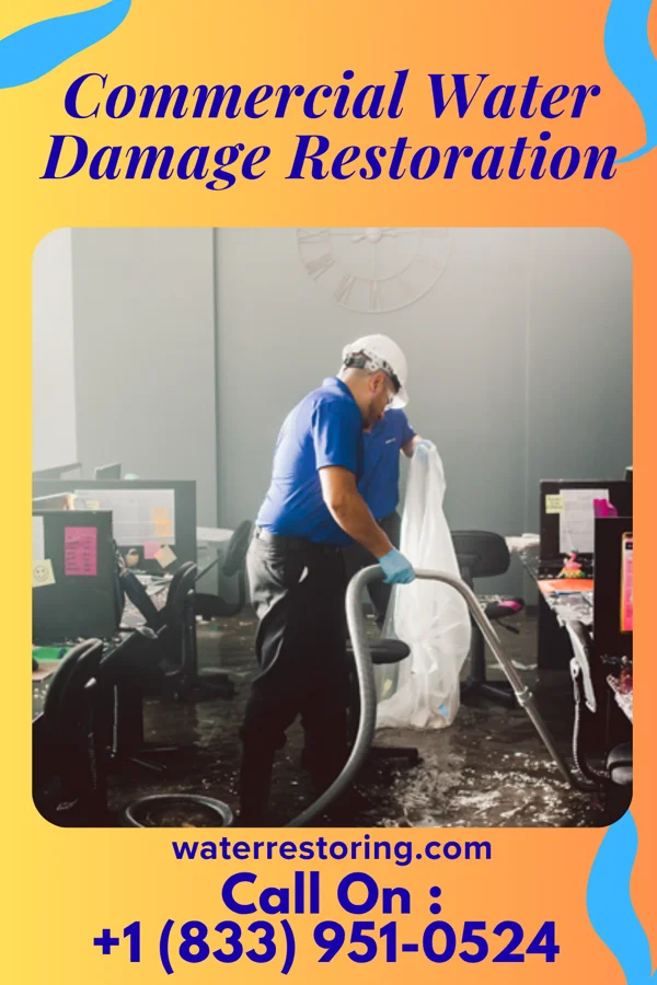 Commercial Water Damage Restoration in Buena Vista, GA