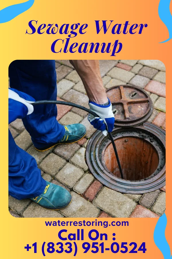 Sewage Water Cleanup in Buena Vista, GA